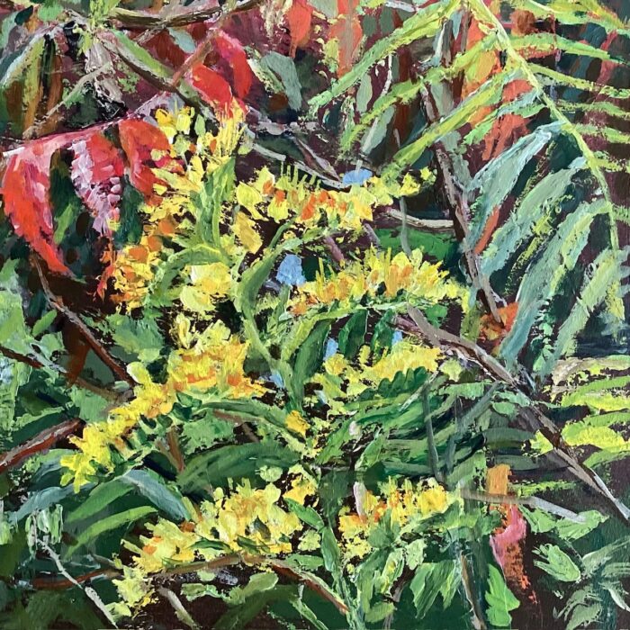 Ann Pigott - Image 3