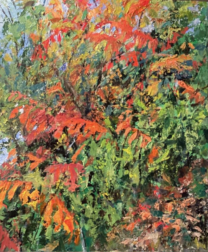 Ann Pigott - Image 5