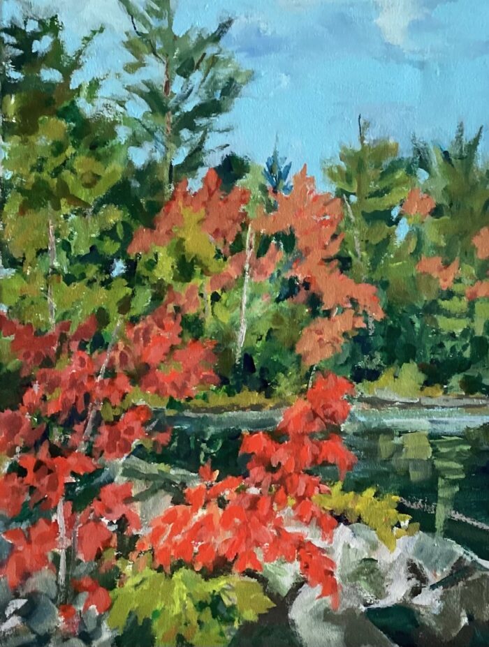 Ann Pigott - Image 4